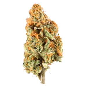 00628719057094_a1cc_compress_106390_1200x_4daa6f54-f42c-4099-aad7-352784e963df.webp Super Lemon Haze Kaufen 25% THC