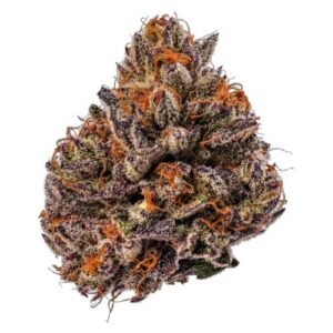 tropicana-cherry-triploid-growers-choice.jpg Tropicana Cherry THC18% kaufen